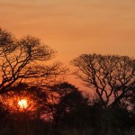 Sonnenuntergang / Sundown