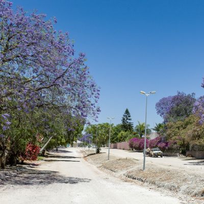 Grootfontein
